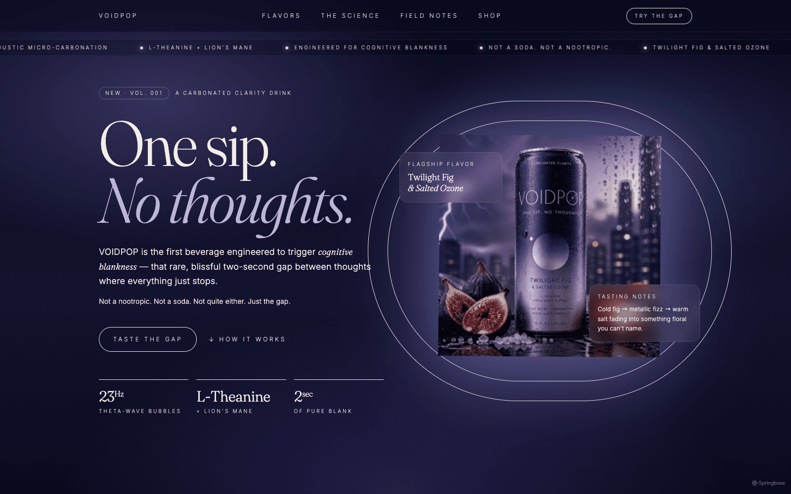 VOIDPOP Landing Page asset preview